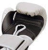 Everlast Power Lock 2 Training Gloves - 10 oz - Sable/White