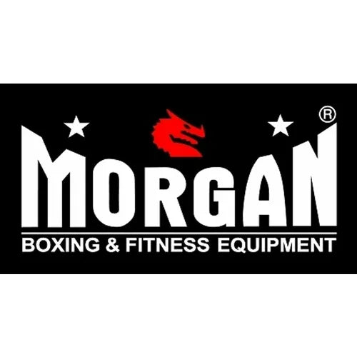 Morgan Logo Banner -Small