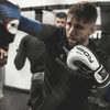 Bad Boy Pro Series Advanced Boxing Gloves Boxing Gloves Bad Boy