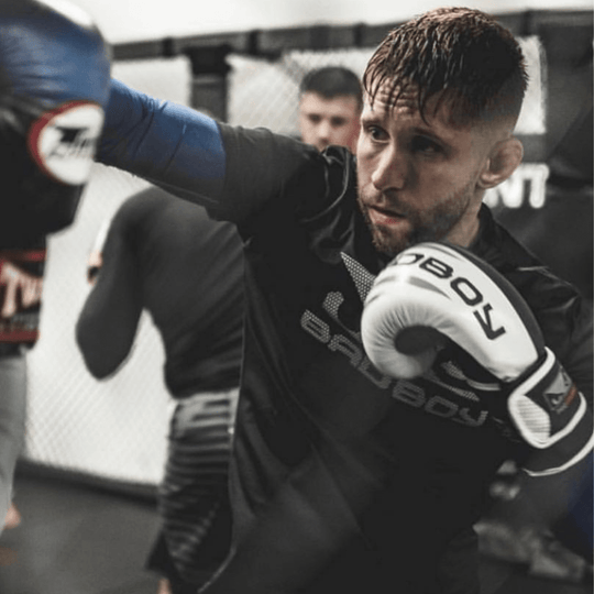 Bad Boy Pro Series Advanced Boxing Gloves Boxing Gloves Bad Boy