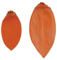 CSG Replacement Bladders for Speed Balls