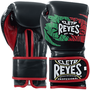 Cleto Reyes Mexican Flag Training Boxing Gloves - Mexican Flag