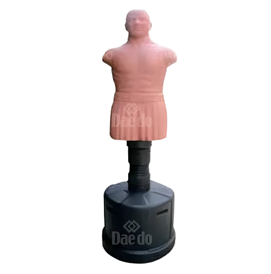 DAE-PR2602
