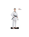 Daedo WT Approved "Paris" Competition Dobok