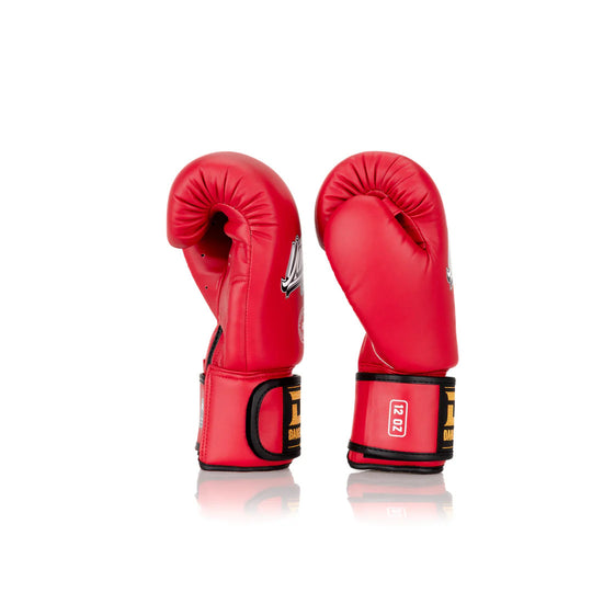 Danger Classic Thai Boxing Gloves