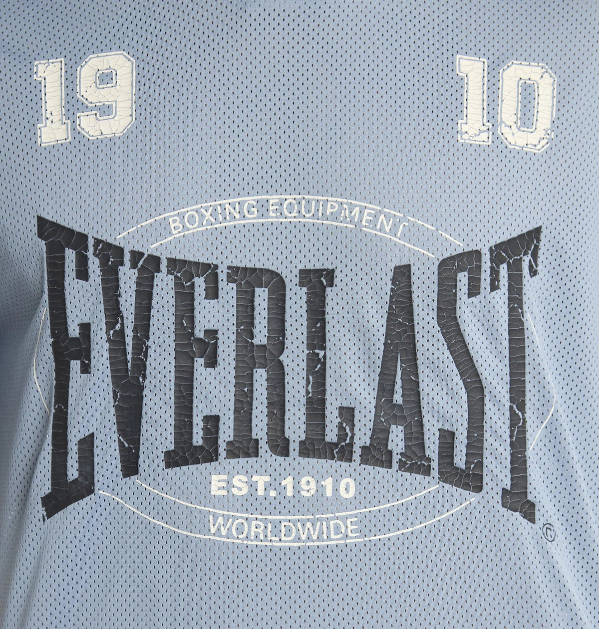 Everlast Field Jersey - Vintage Sky
