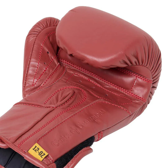 Everlast 1910 Pro Boxing Gloves - Hook & Loop - Red