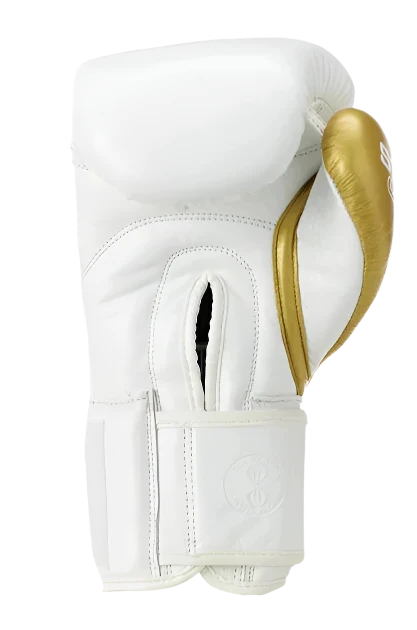 Sting Evolution Velcro Boxing Gloves