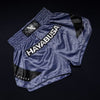 Hayabusa Core Muay Thai Shorts - Blue