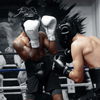 Hayabusa Pro Boxing Gloves - White