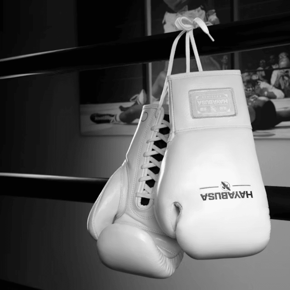 Hayabusa Pro Horsehair Fight Boxing Gloves - White