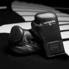 Hayabusa Pro Horsehair Fight Boxing Gloves - Black