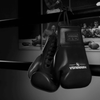 Hayabusa Pro Horsehair Fight Boxing Gloves - Black