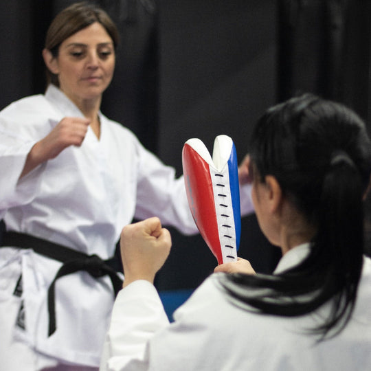 SMAI Taekwondo Clapper Target