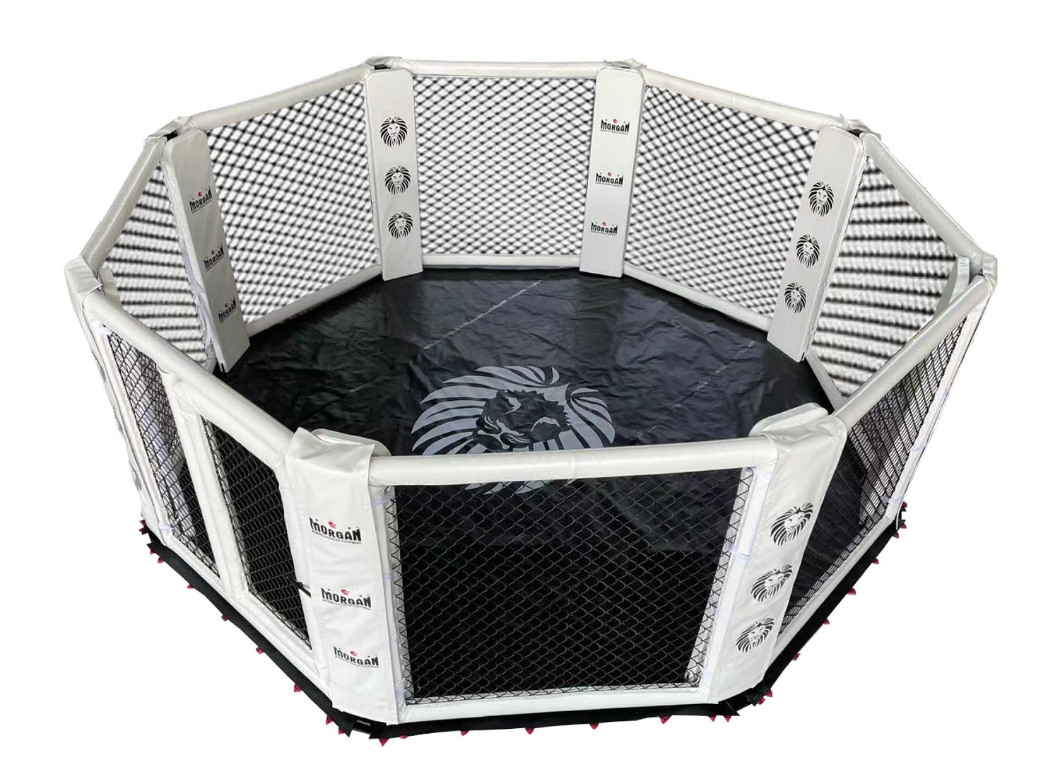 Morgan Custom Floor MMA Cage - 5m-9m