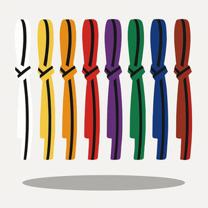 Zett Coloured Belts With Black Stripes