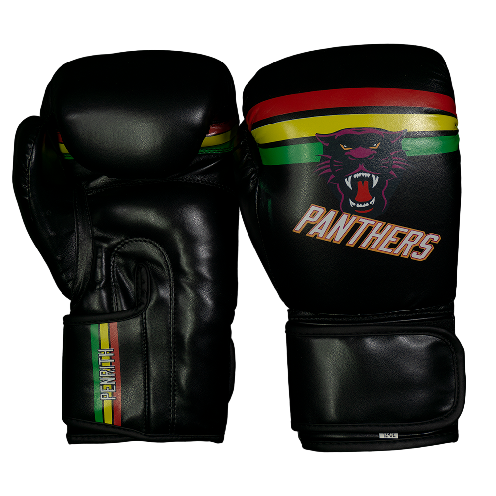 Zett Boxing Gloves - Panthers