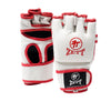 Zett MMA Gloves
