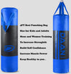 DAAN MMA Vinyl Boxing Punching Bag - Blue