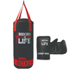DAAN MAA Kids Punching Bag Set with Free Boxing Gloves
