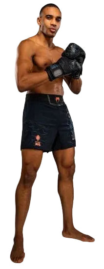 Venum Thunder Dragon Fightshorts - Black/Grey/Copper