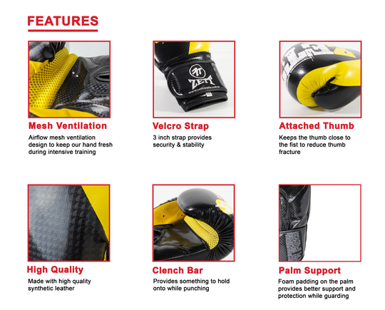 Zett Classic Boxing Gloves