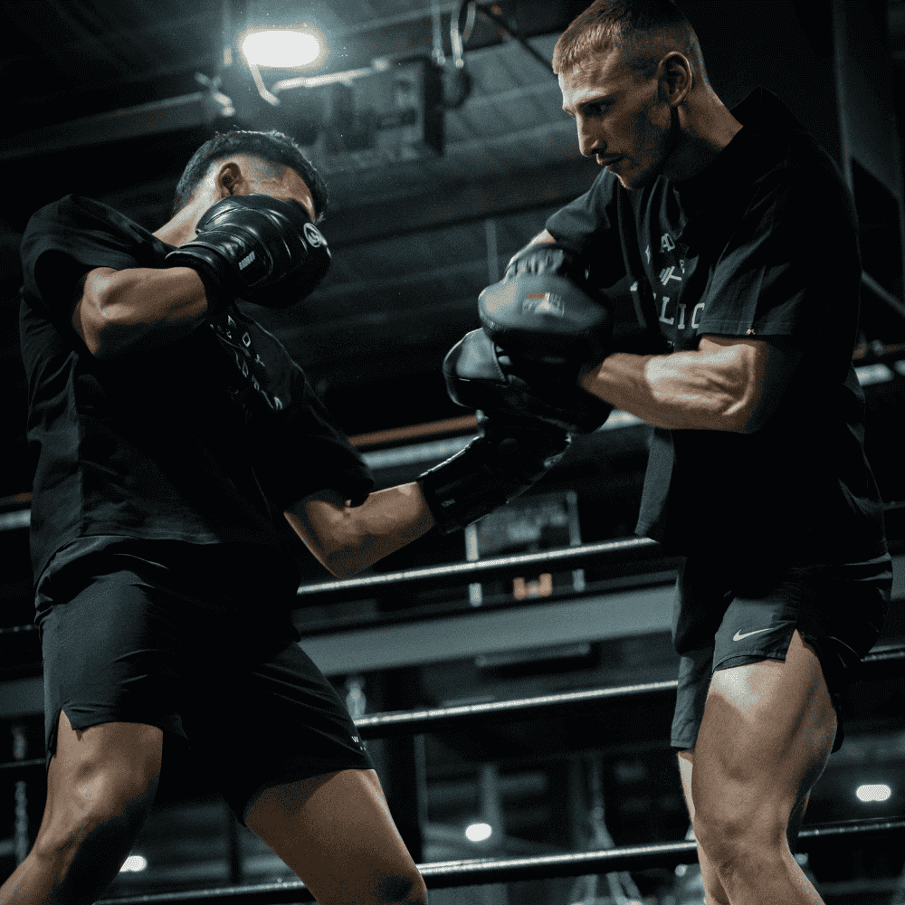 Bad Boy Pro Series Advanced Focus Mitts Focus Mitts Bad Boy