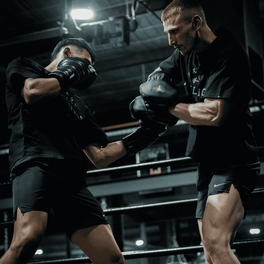 Bad Boy Pro Series Advanced Focus Mitts Focus Mitts Bad Boy