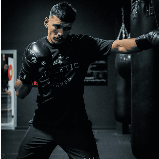 Bad Boy Omega Boxing Gloves Boxing Gloves Bad Boy