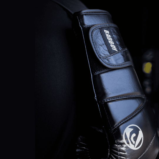 Bad Boy Omega Boxing Gloves Boxing Gloves Bad Boy