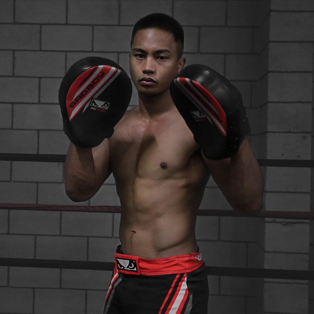 Bad Boy Pro Series Advanced Focus Mitts Focus Mitts Bad Boy