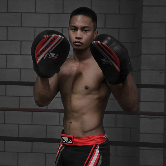 Bad Boy Pro Series Advanced Focus Mitts Focus Mitts Bad Boy