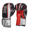 Zett Expert Boxing Gloves