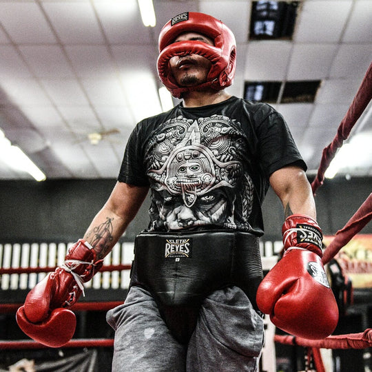 Cleto Reyes Kidney and Foul Protection Cup Groin Guards Cleto Reyes