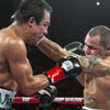 Cleto Reyes Official Safetec Gloves Boxing Gloves Cleto Reyes