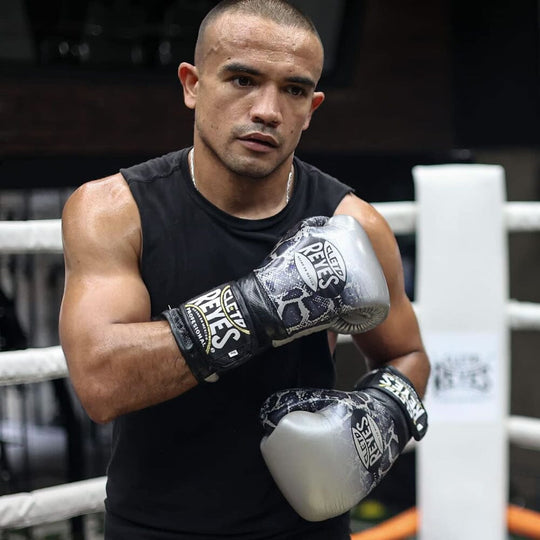 Cleto Reyes Steel Snake Training Boxing Gloves Boxing Gloves Cleto Reyes