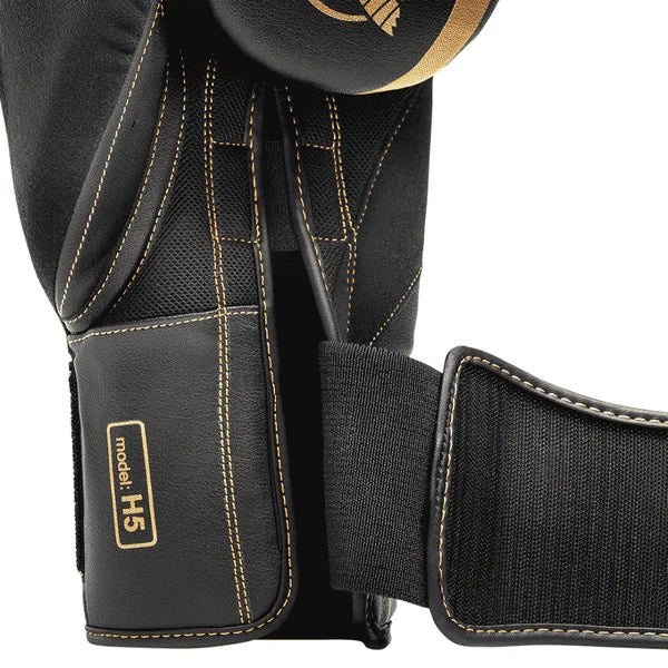 Hayabusa H5 Boxing Gloves