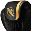 Hayabusa H5 Boxing Gloves