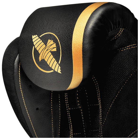 Hayabusa H5 Boxing Gloves