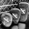 Hayabusa PTS 3 Micro Focus Mitts