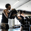 Hayabusa PTS 3 Thai Pads