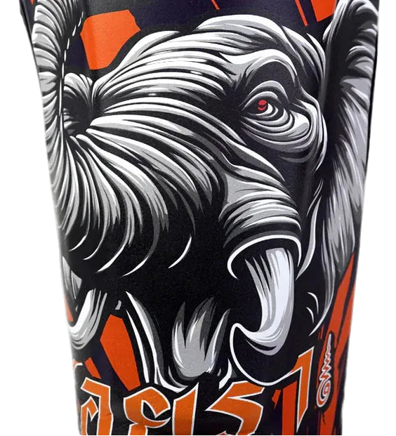 Tuff Aiyara Shin Guards