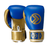 Onward Vero Boxing Glove - Hook&Loop - Blue/Gold