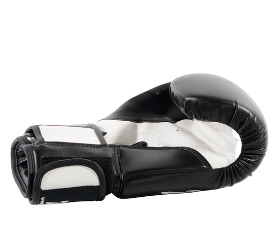Zett Classic Boxing Gloves