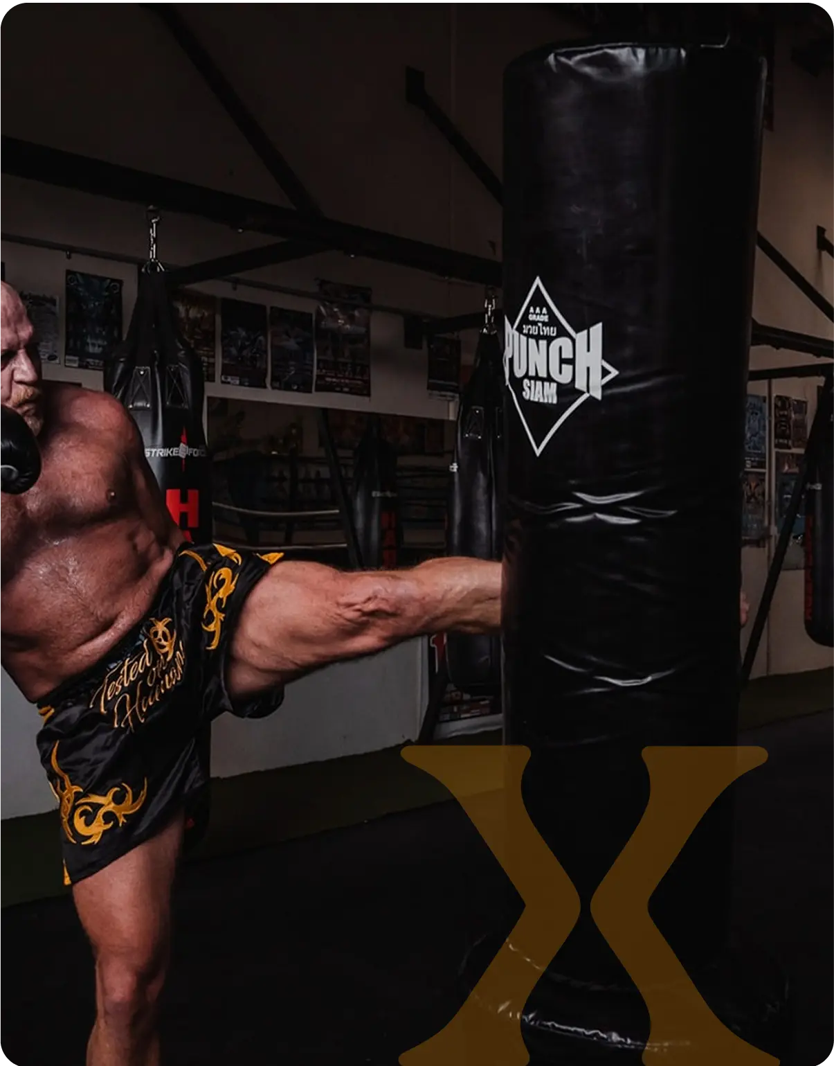 Buy Boxing Gloves In Australia Muay Thai MMA Gloves MaxMyer Buy boxing gloves in australia muay thai mma gloves maxmyer