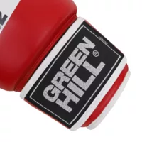 BOXING GLOVES TIGER IBA APPROVED